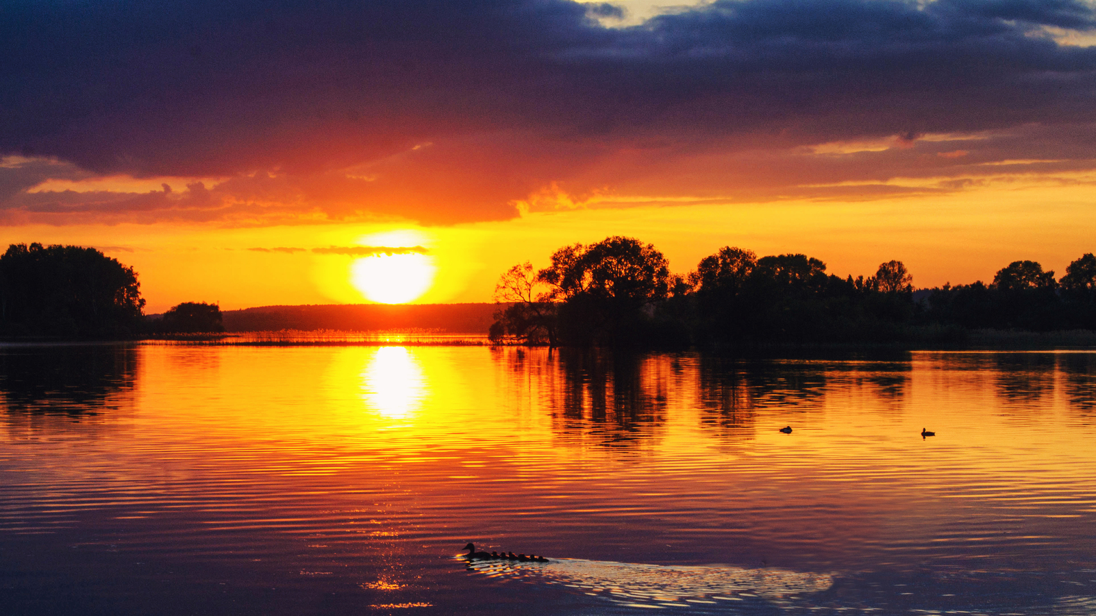 Sunset on the Minsk Sea. - My, Minsk, Sunset, Swans, Longpost, The photo, My