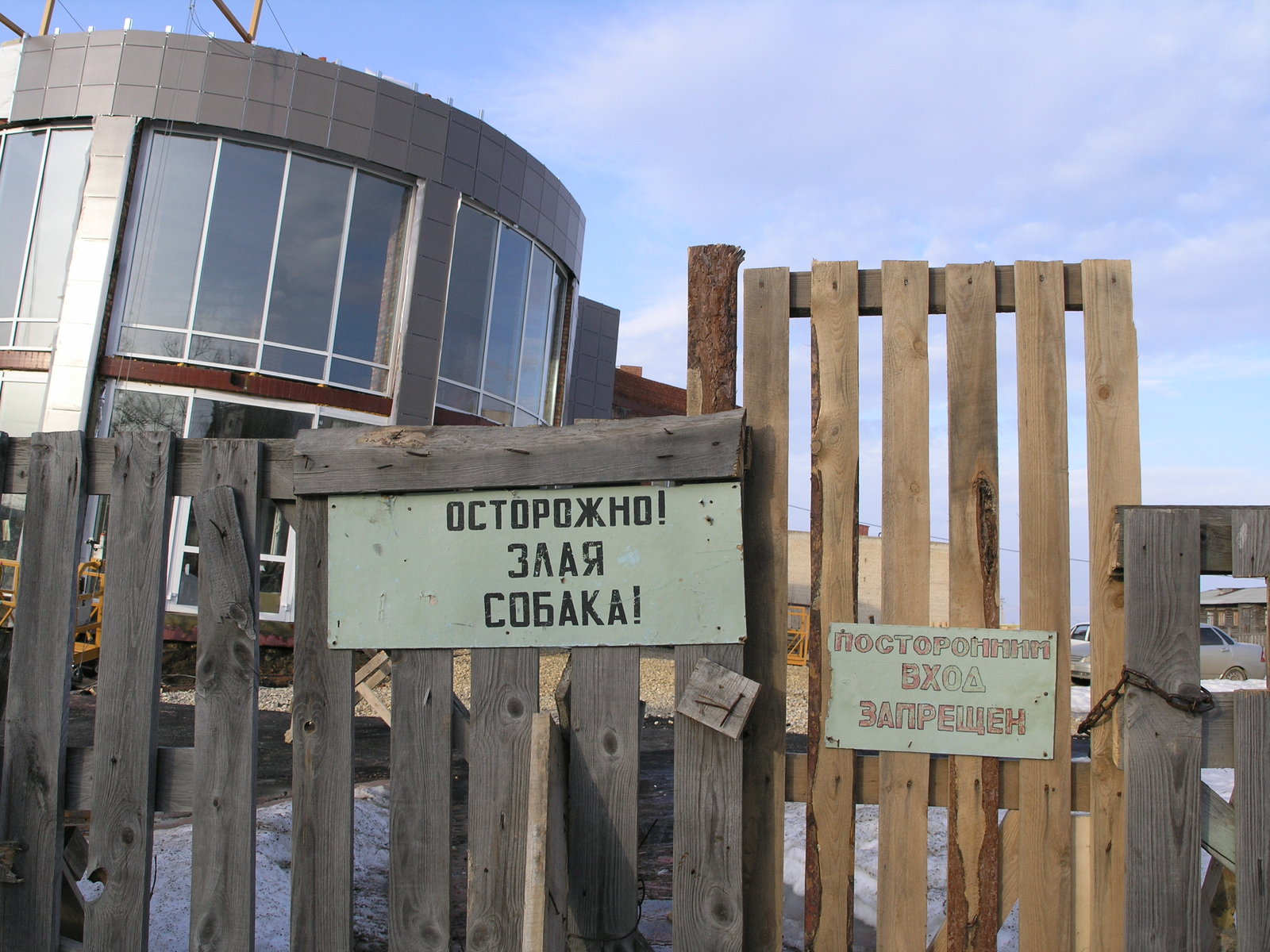 Очень злая собака | Пикабу