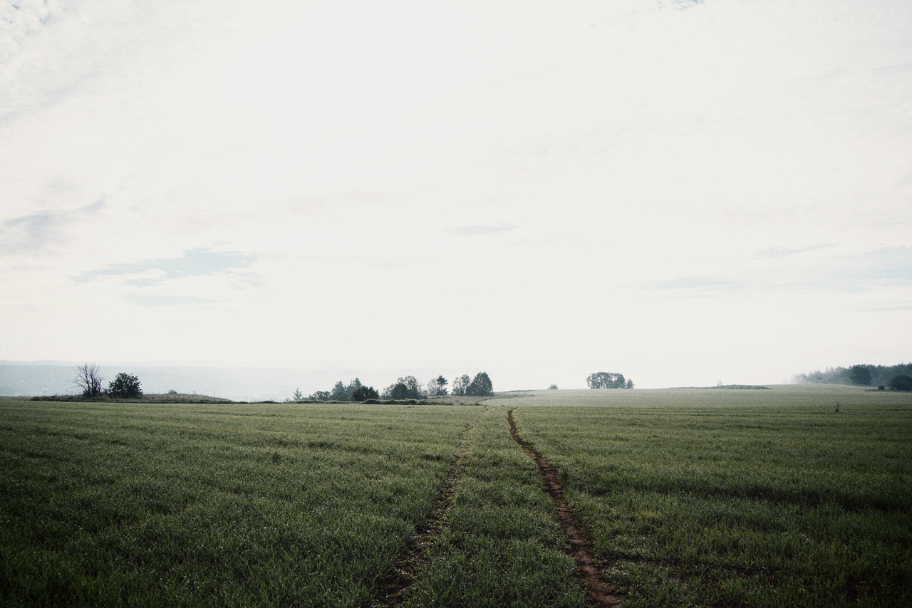 foggy morning - My, Morning, , dawn, Early morning, , Fog, beauty of nature, Nature, Longpost