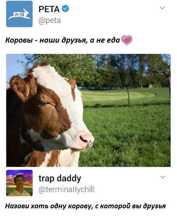 Коровы - наши друзья - Защита животных, Twitter