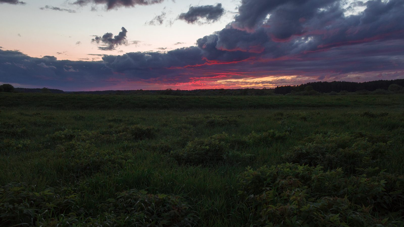 Landscape [19] - My, Tver, Tver region, Nature, Landscape, Photographer, Longpost