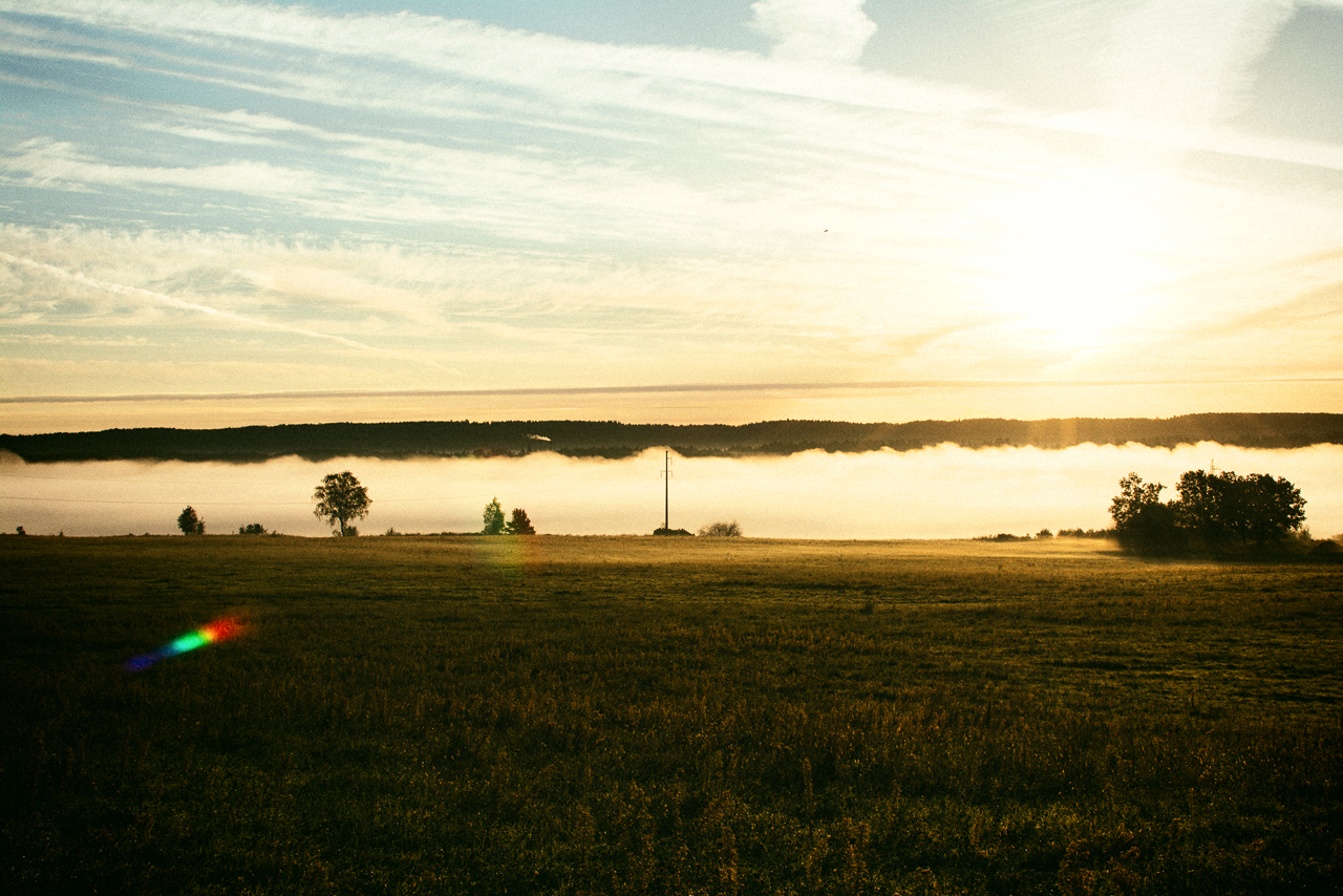 Dawn outside the city - My, The photo, Morning, Good morning, Fog, , dawn, Longpost, Nature