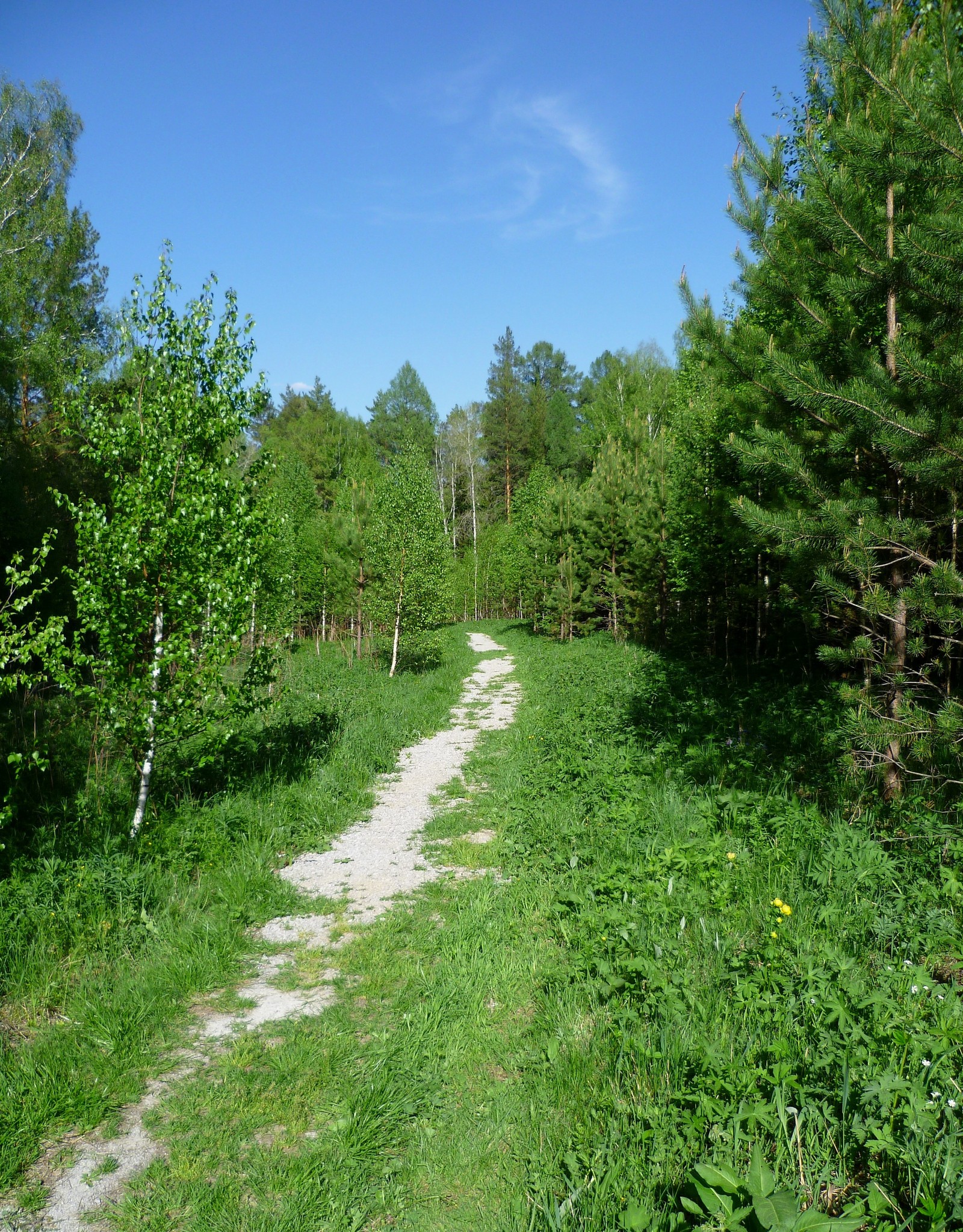 Deer Streams Natural Park - My, Ural, deer streams, Travels, Longpost