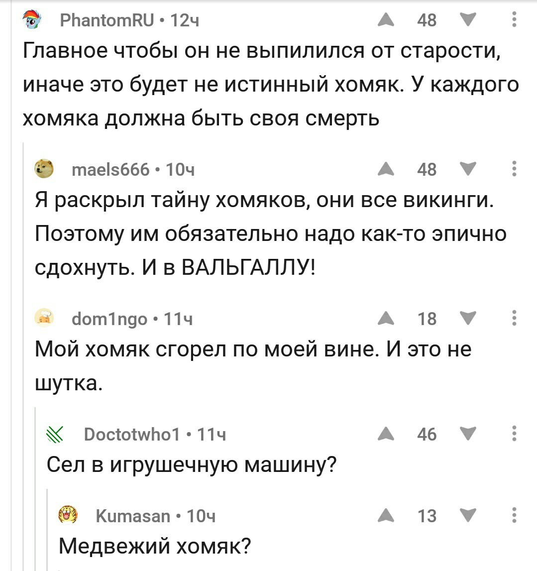 О хомяках - Комментарии на Пикабу, Комментарии, Пикабу, Хомяк, Медведи, Машина, Домашние животные, Сгорел