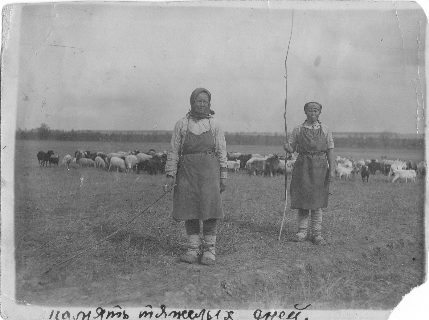 Shepherds - Old photo, Shepherd, Lapti, Female, Women