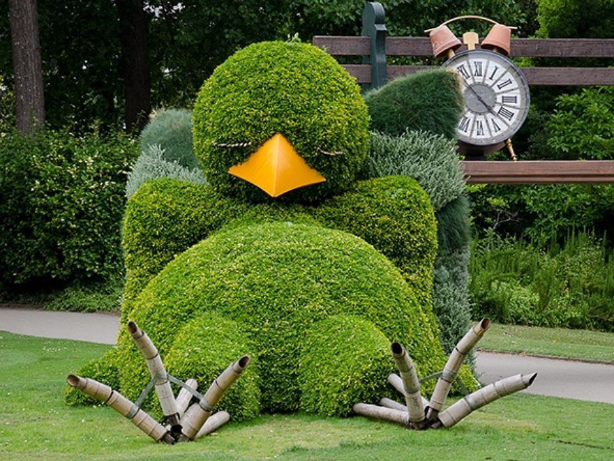 Chick - Landscape design, Chickens, Clock, beauty, Beak