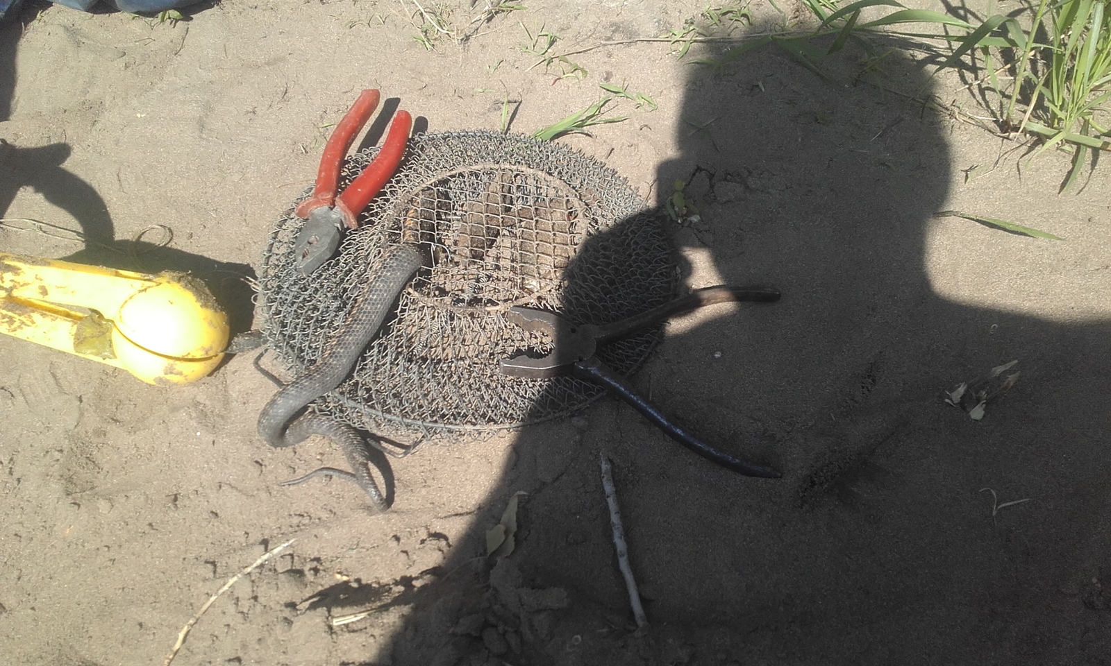 lazy fisherman - My, My, Fishing, Snake, Water Uzh, The photo, Nature and man, Video, Longpost, Nature