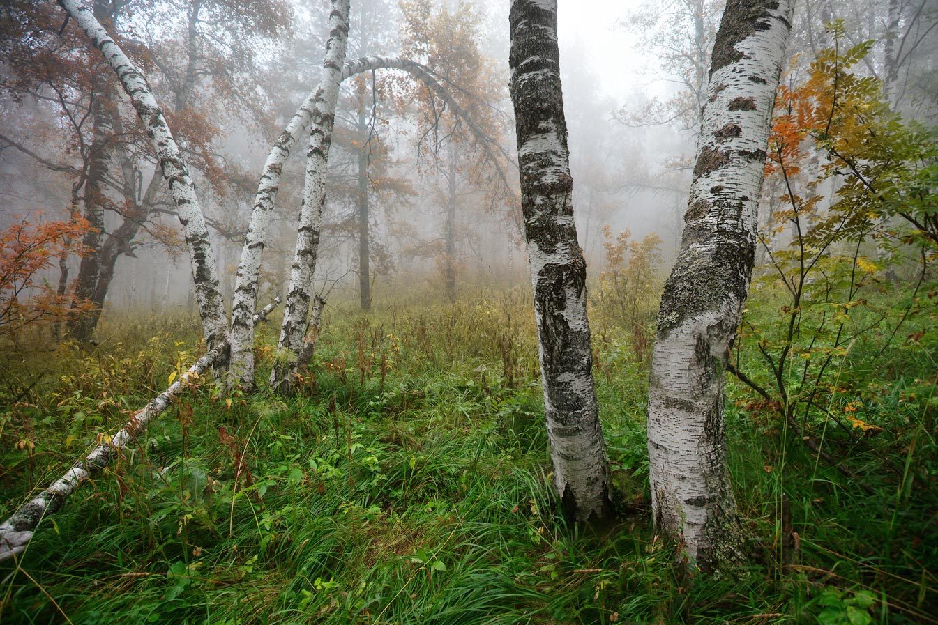 Ural mountains - The photo, Nature, Ural, Russia, Landscape, Tourism, Longpost