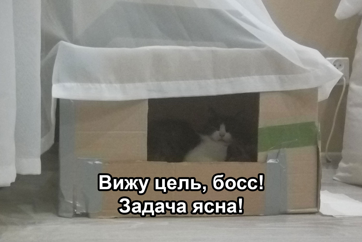 Как я принимал роды, и как мать с детьми отжали потом нашу жилплощадь.  Часть II - финал? | Пикабу