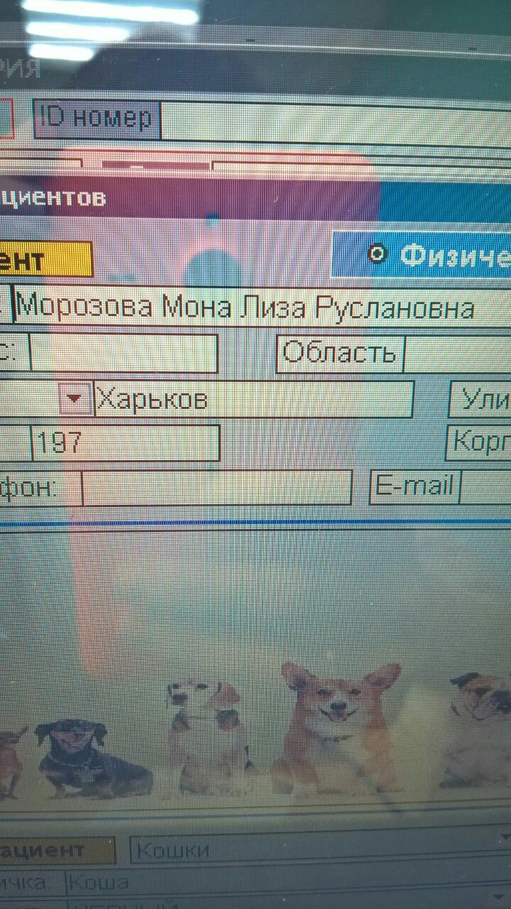 Мне бы такое имя, гляди бы жизнь по-другому сложилась... - Моё, Имена, Код да винчи