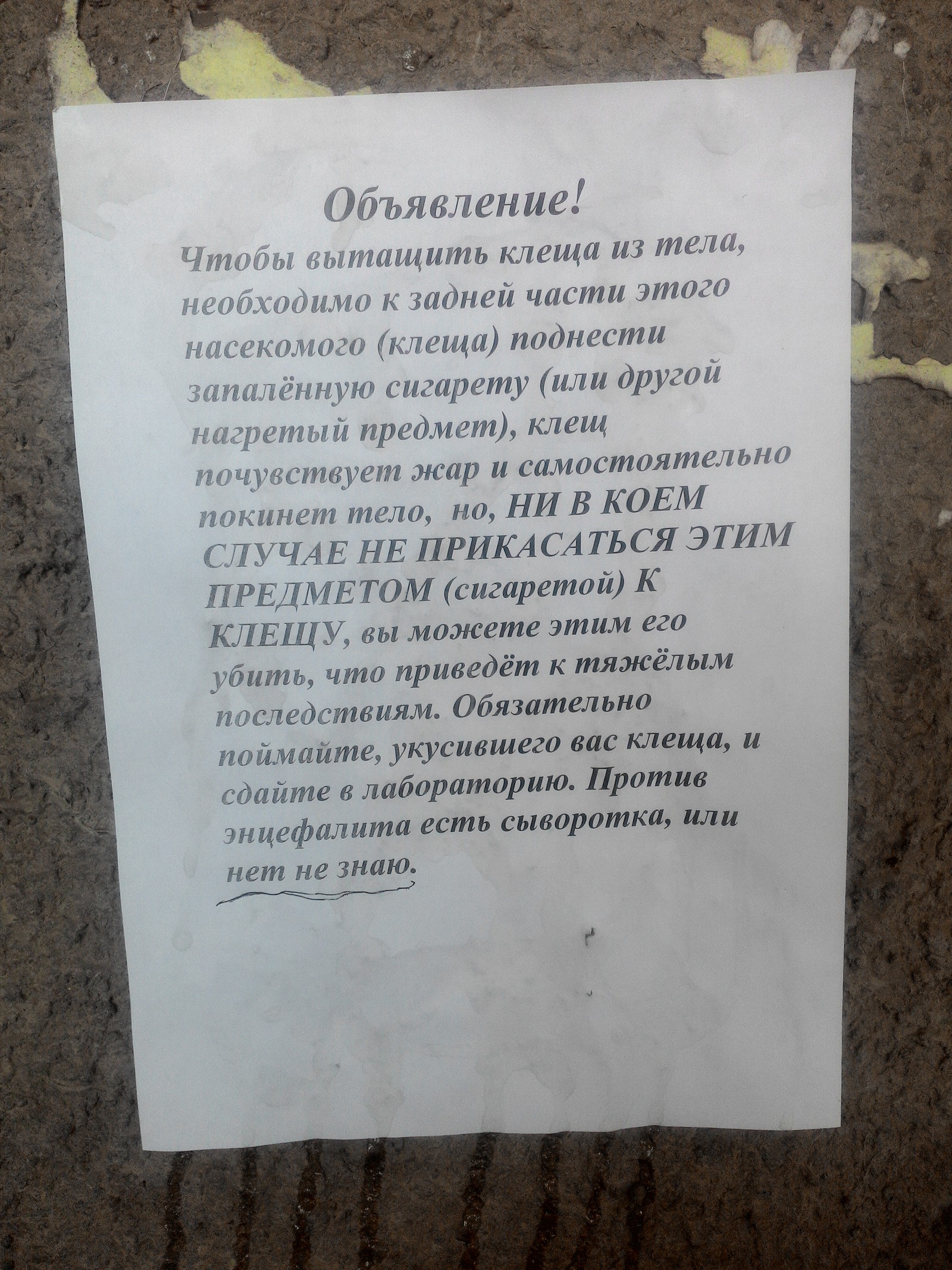 Вакцина есть. Ну или нет | Пикабу