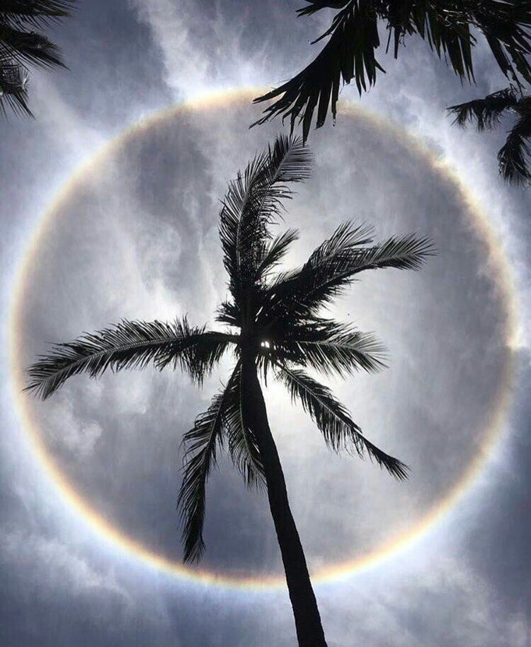 Solar halo on Koh Samui (Thailand, 06/11/2017) - beauty of nature, Thailand, Halo