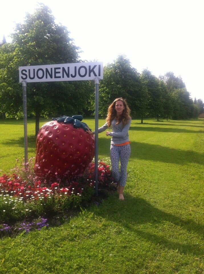 My trip to Finland - My, Longpost, Finland, Travels, Adventures, Not a writer, Strawberry, Strawberry (plant)