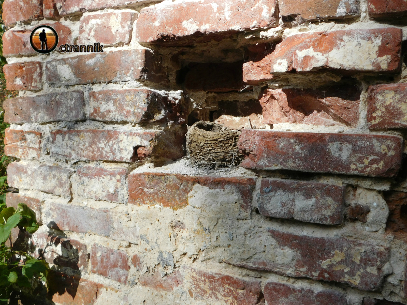 Abandoned St. Nicholas Church. - My, Abandoned, Temple, Travels, , Search, Video, Longpost