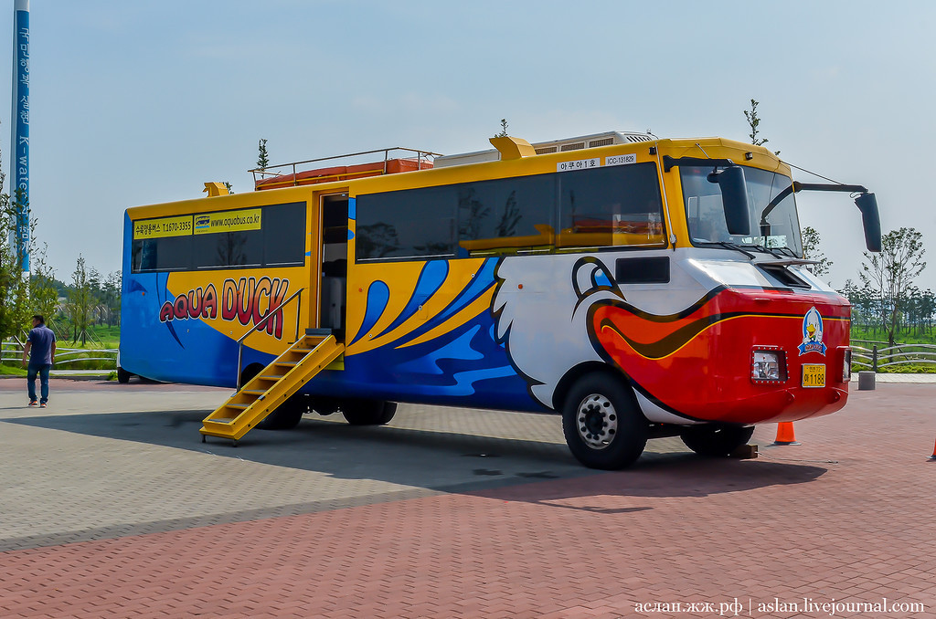 How I fell into the river on the bus. - My, South Korea, Travels, Asia, Longpost