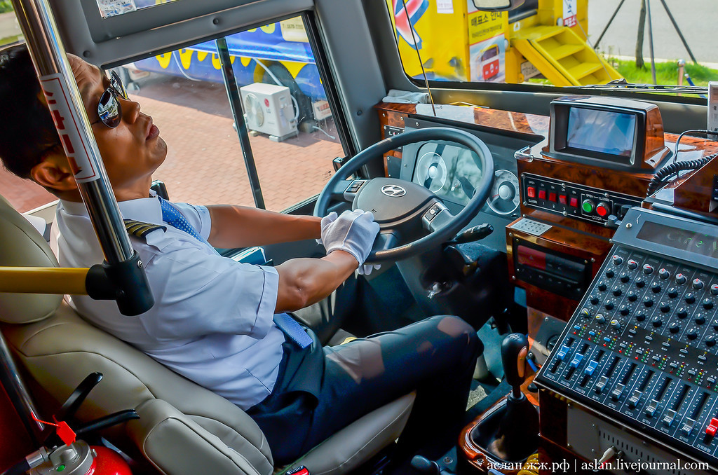 How I fell into the river on the bus. - My, South Korea, Travels, Asia, Longpost