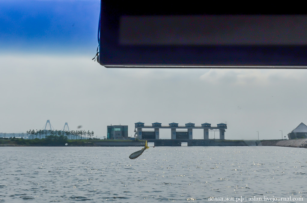 How I fell into the river on the bus. - My, South Korea, Travels, Asia, Longpost