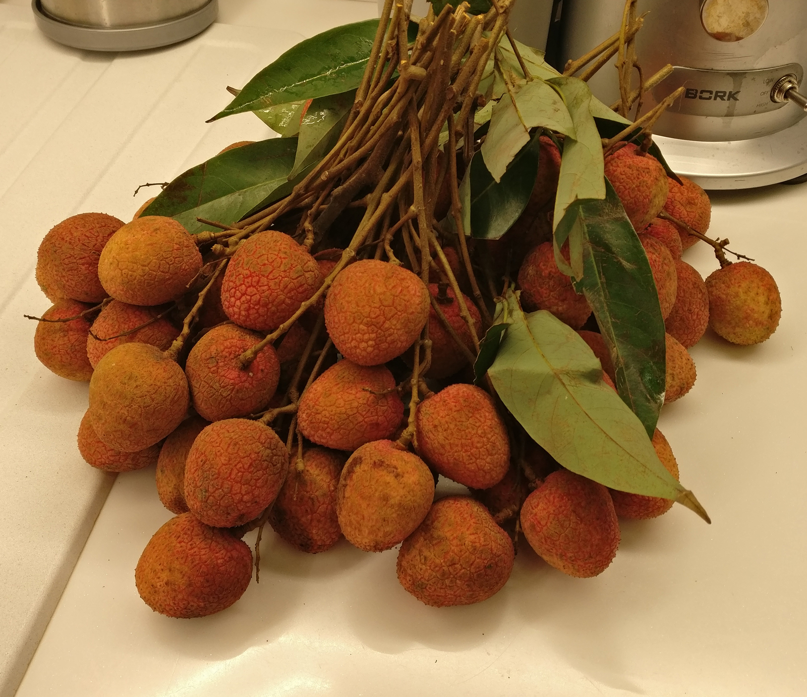 Lychee season in Moscow - My, , Фрукты, , Question, Lychee, 