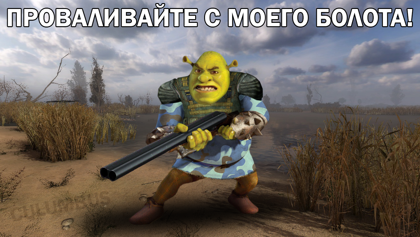 Another crossover - My, Games, Stalker, Shrek, Swamp, Clear sky, Stalker: Clear Sky