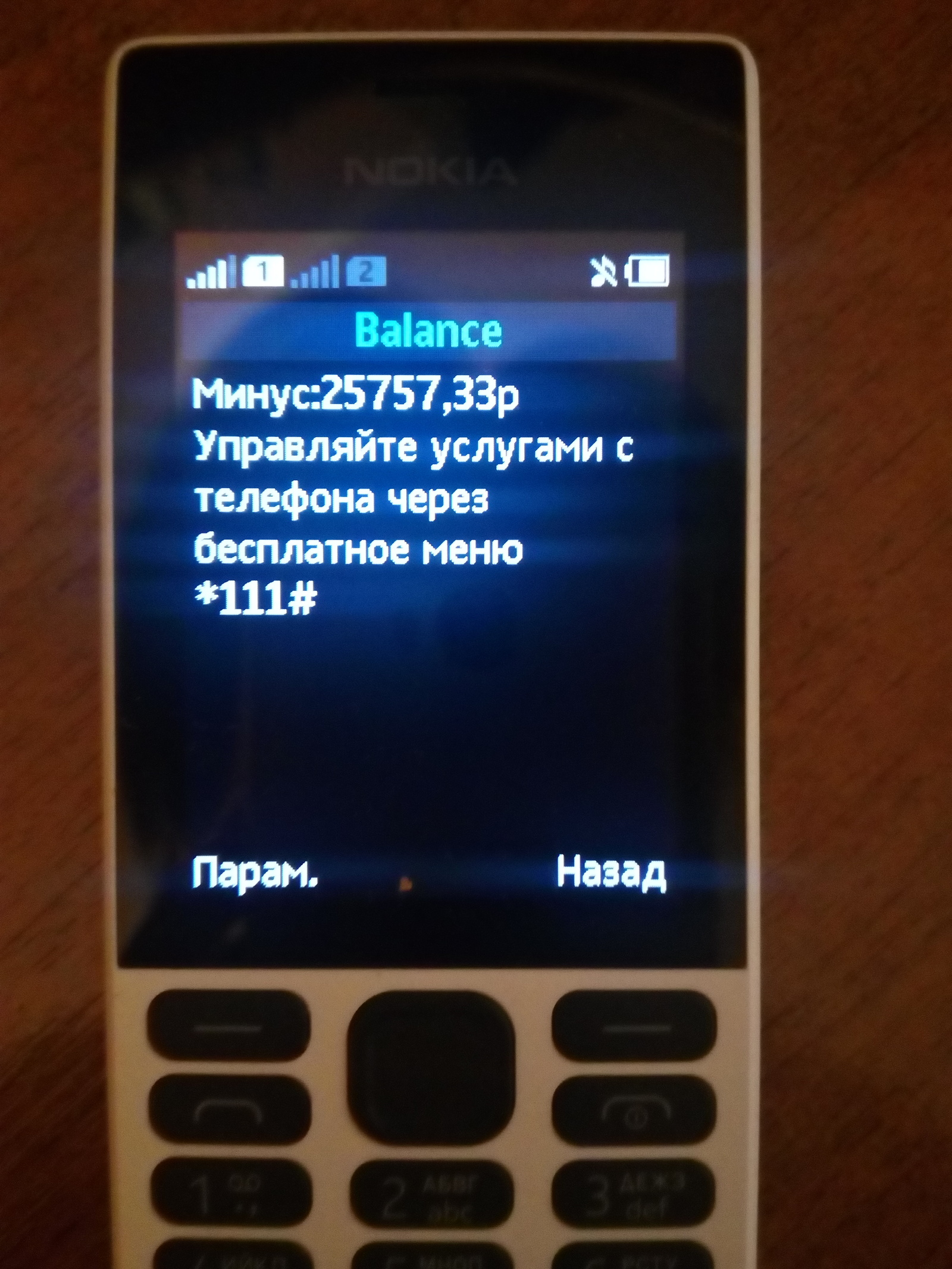 Новая работа. Выдан служебный телефон. Проверка баланса вызвала лёгкое  недоумение... | Пикабу