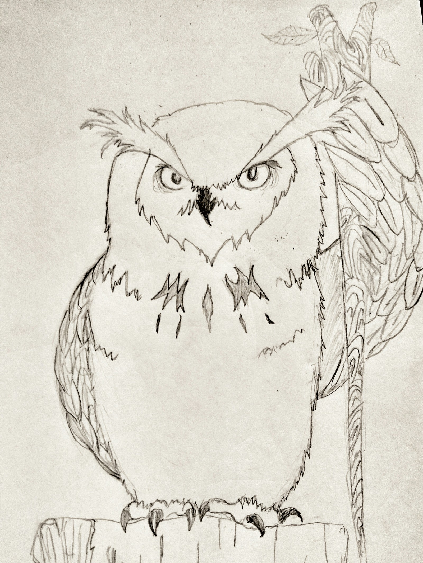 Owl druid - My, Owl, Druid, Magic, Drawing, Forest