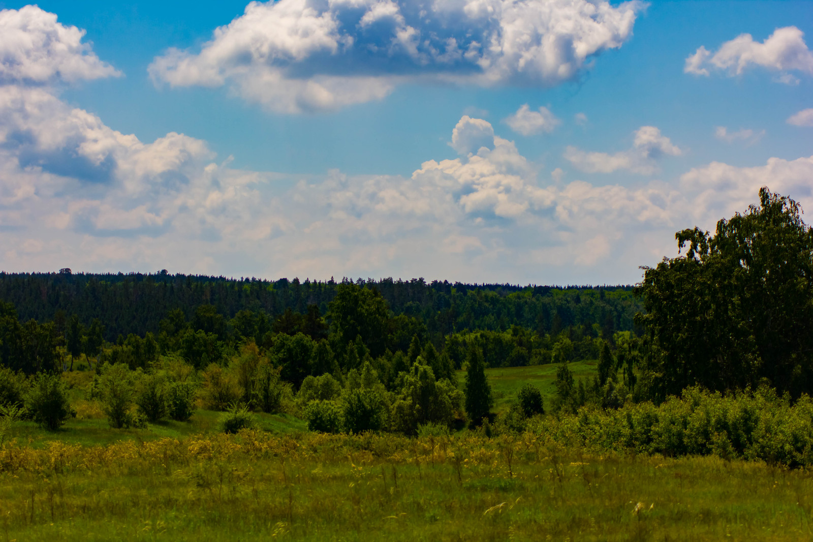 The beauty of the Samara region - My, My, Canon, Samara Region, Summer, Volga river, Volga, Longpost, River