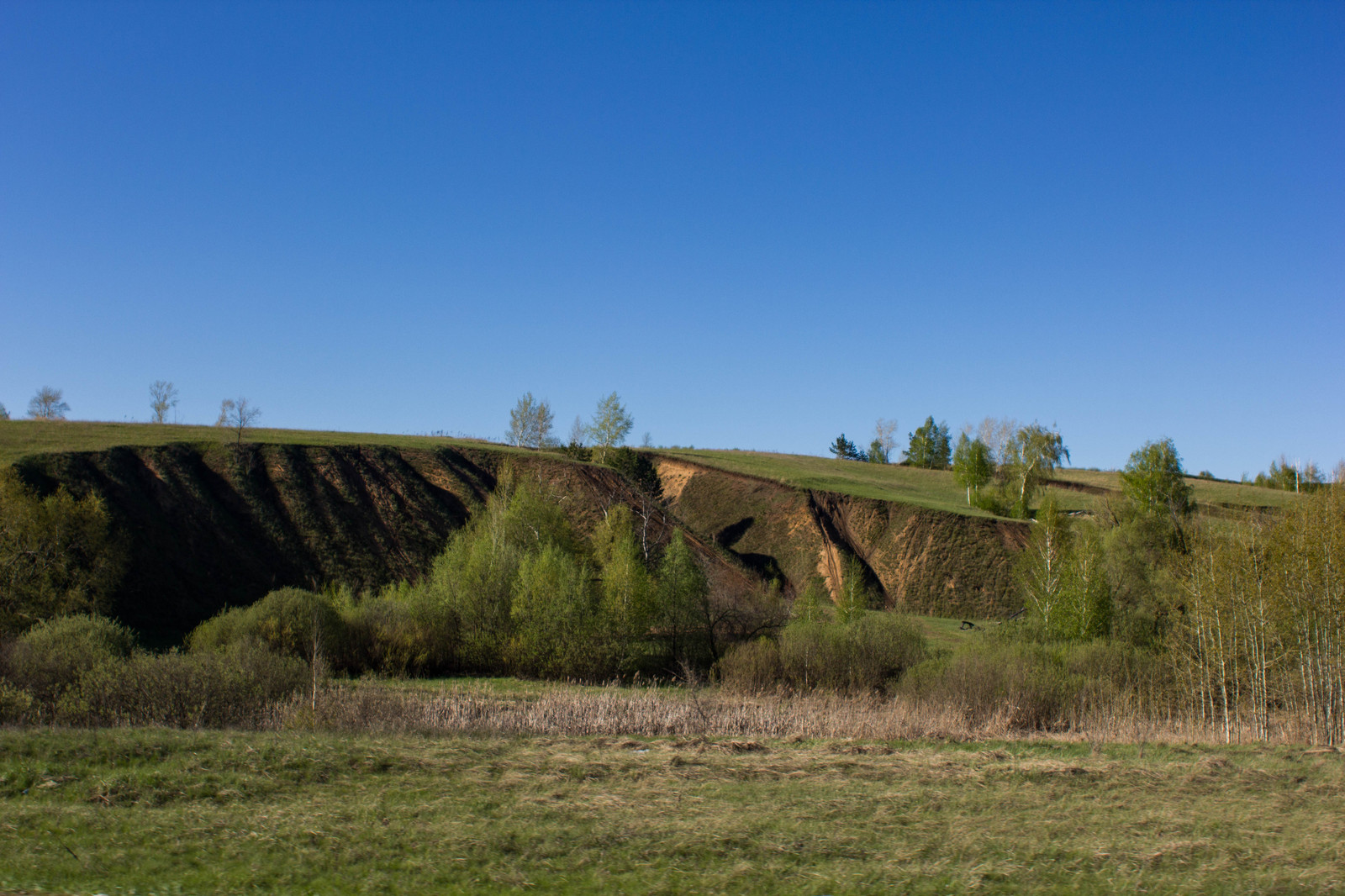 The beauty of the Samara region - My, My, Canon, Samara Region, Summer, Volga river, Volga, Longpost, River