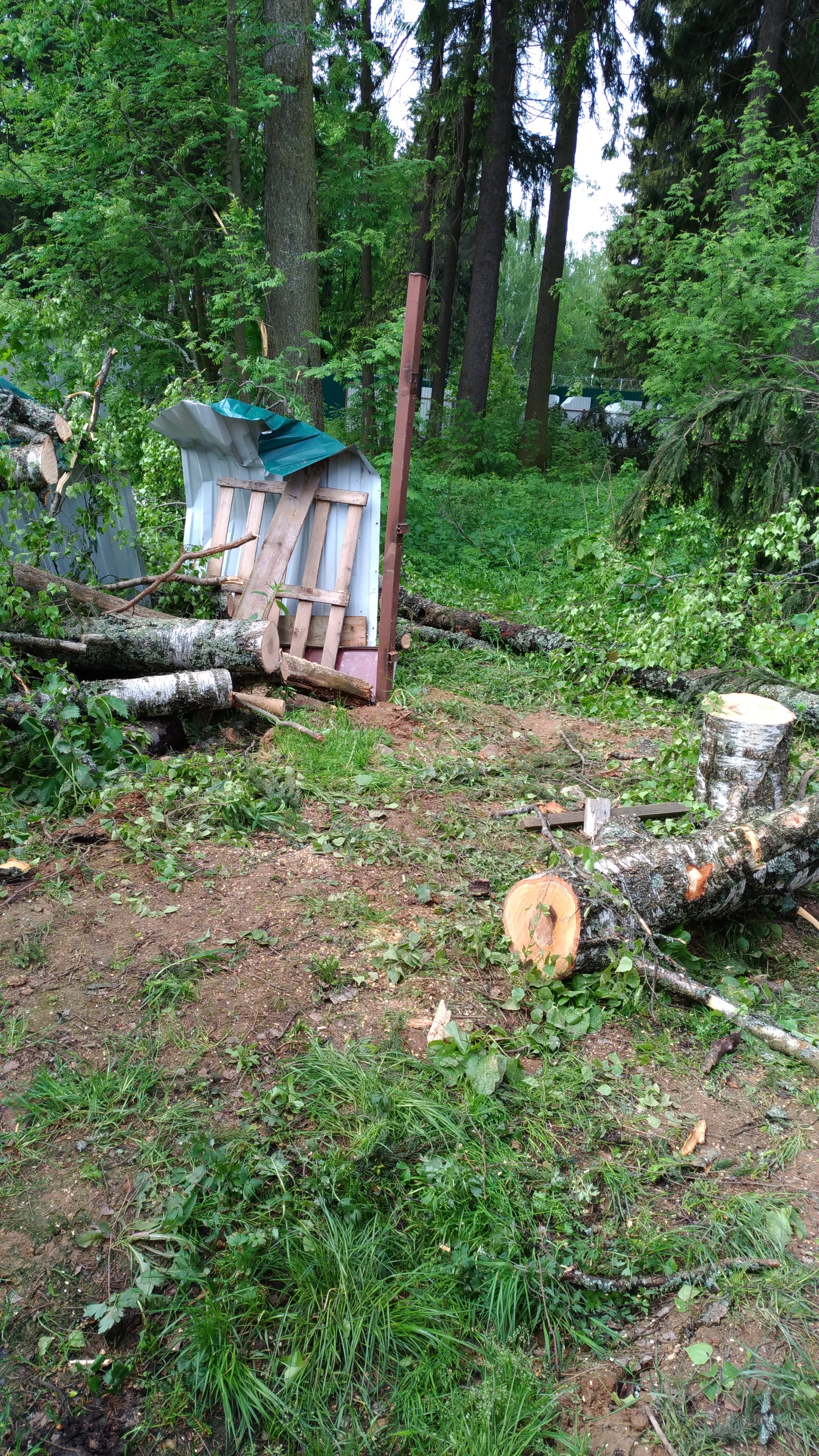 Ураган, май 2017, часть 2 - Моё, Участок, Ураган, Ураган в Москве, Длиннопост