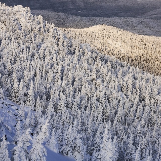 TAGANAI NATIONAL PARK: MAGICAL RUSSIAN WINTER - Winter, Russia, The photo, The park, Tourism, Travels, Landscape, Nature, Longpost