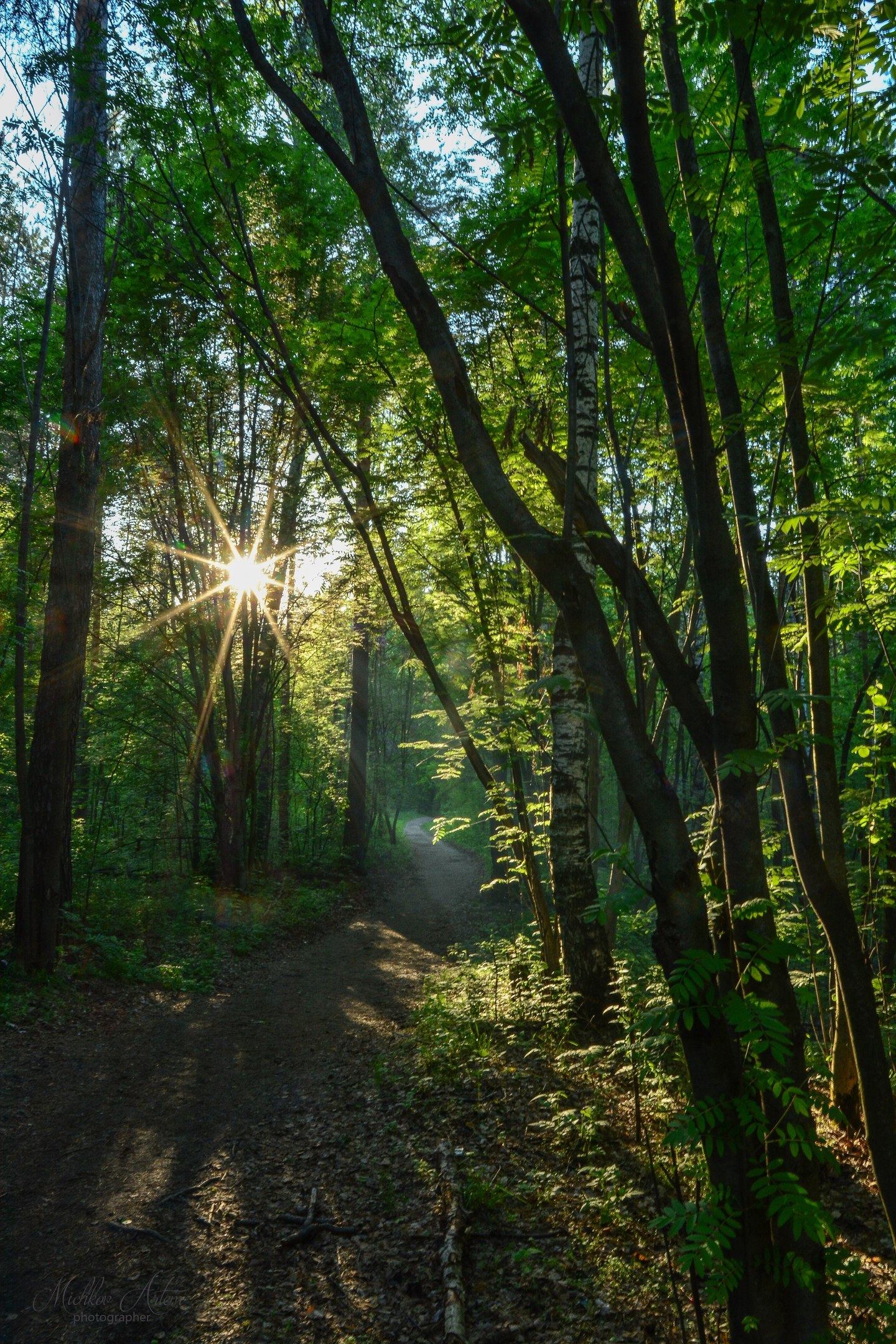 Chernyaevsky forest. - My, Nature, Permian, Chernyayevsky Forest, , Longpost