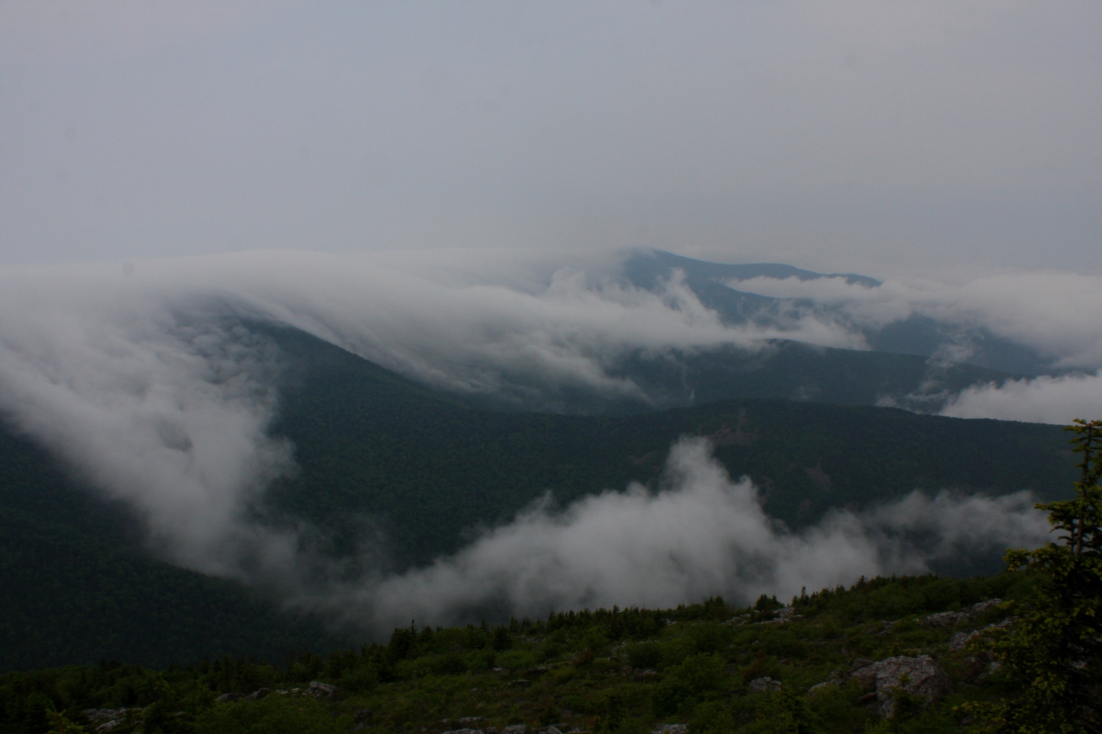 In the Suvodi of the Seaside Mists. - My, The photo, Primorsky Krai, Longpost