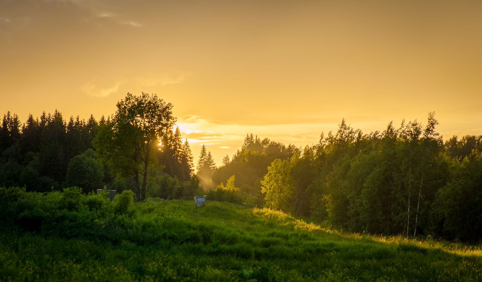 Evening Leningrad region - My, Leningrad region, Sunset, The Gulf of Finland, Rainbow, Sky, Evening, Longpost