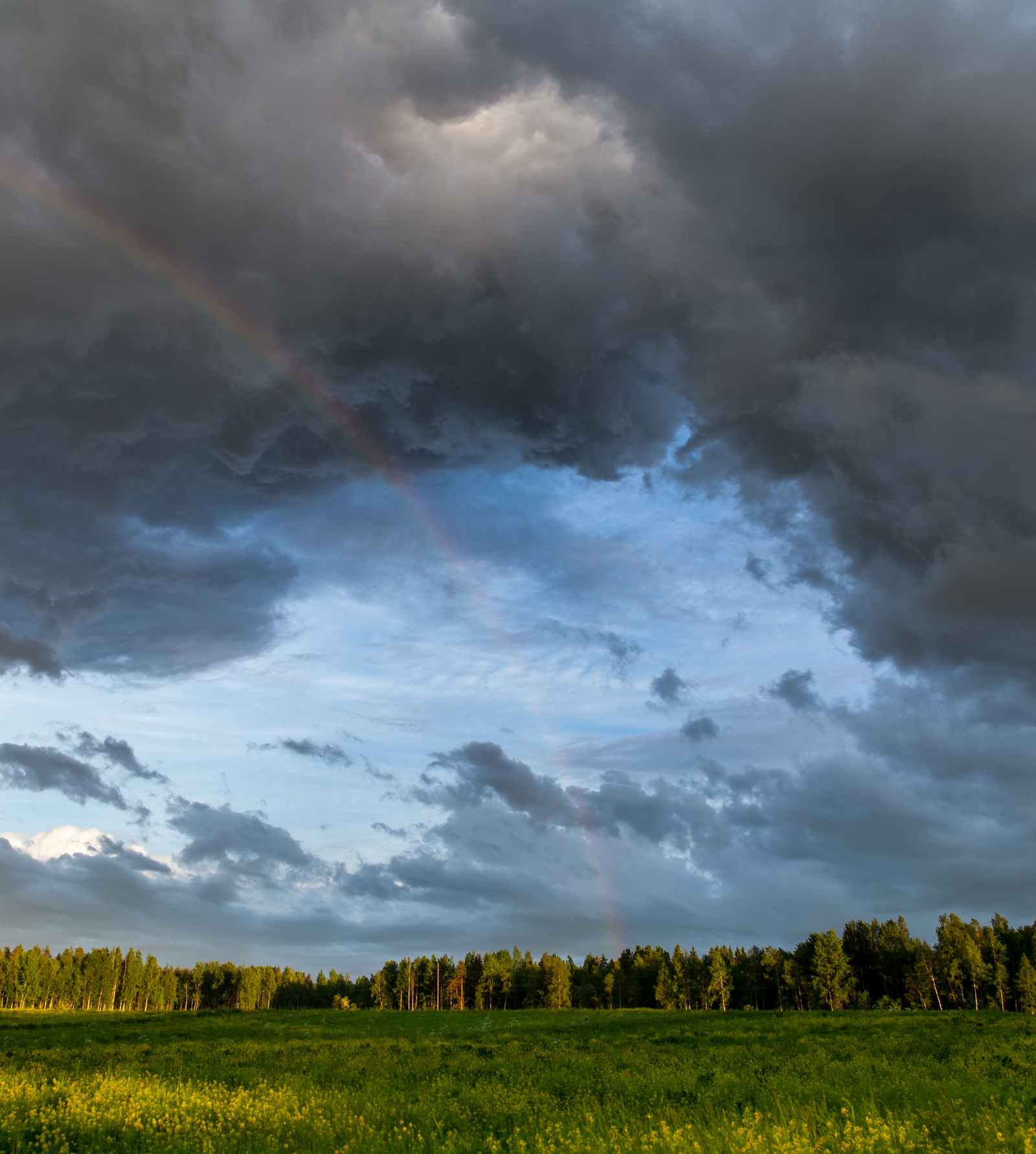 Evening Leningrad region - My, Leningrad region, Sunset, The Gulf of Finland, Rainbow, Sky, Evening, Longpost