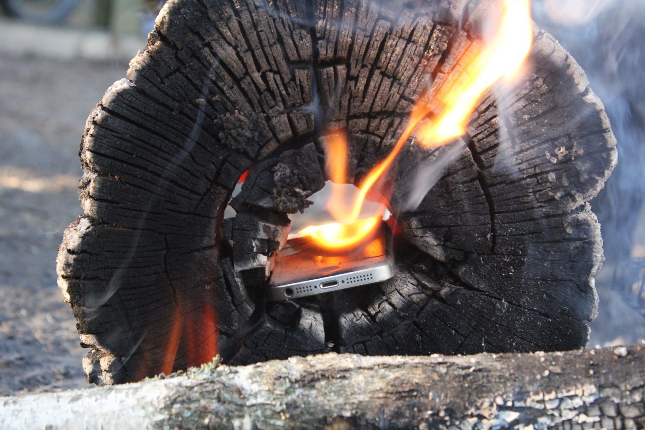 Log stuffed with apple. Don't Ask Why - For Science - My, iPhone, Bonfire, Sacrifice