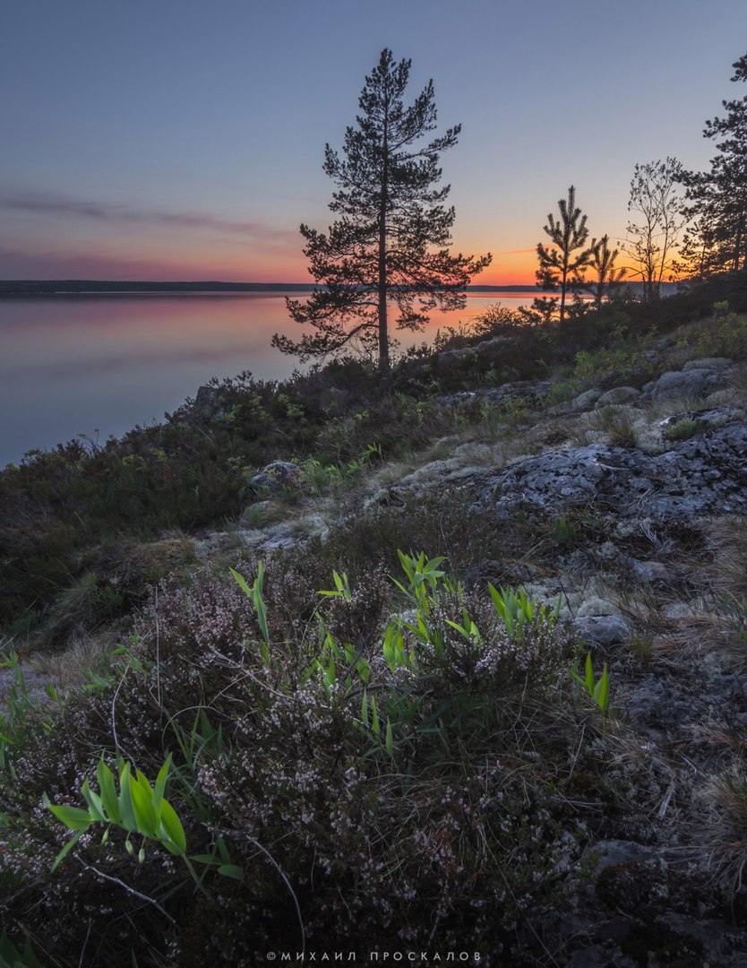 Beautiful evening in Karelia - My, The photo, Landscape, Карелия, Sunset, Video, Longpost