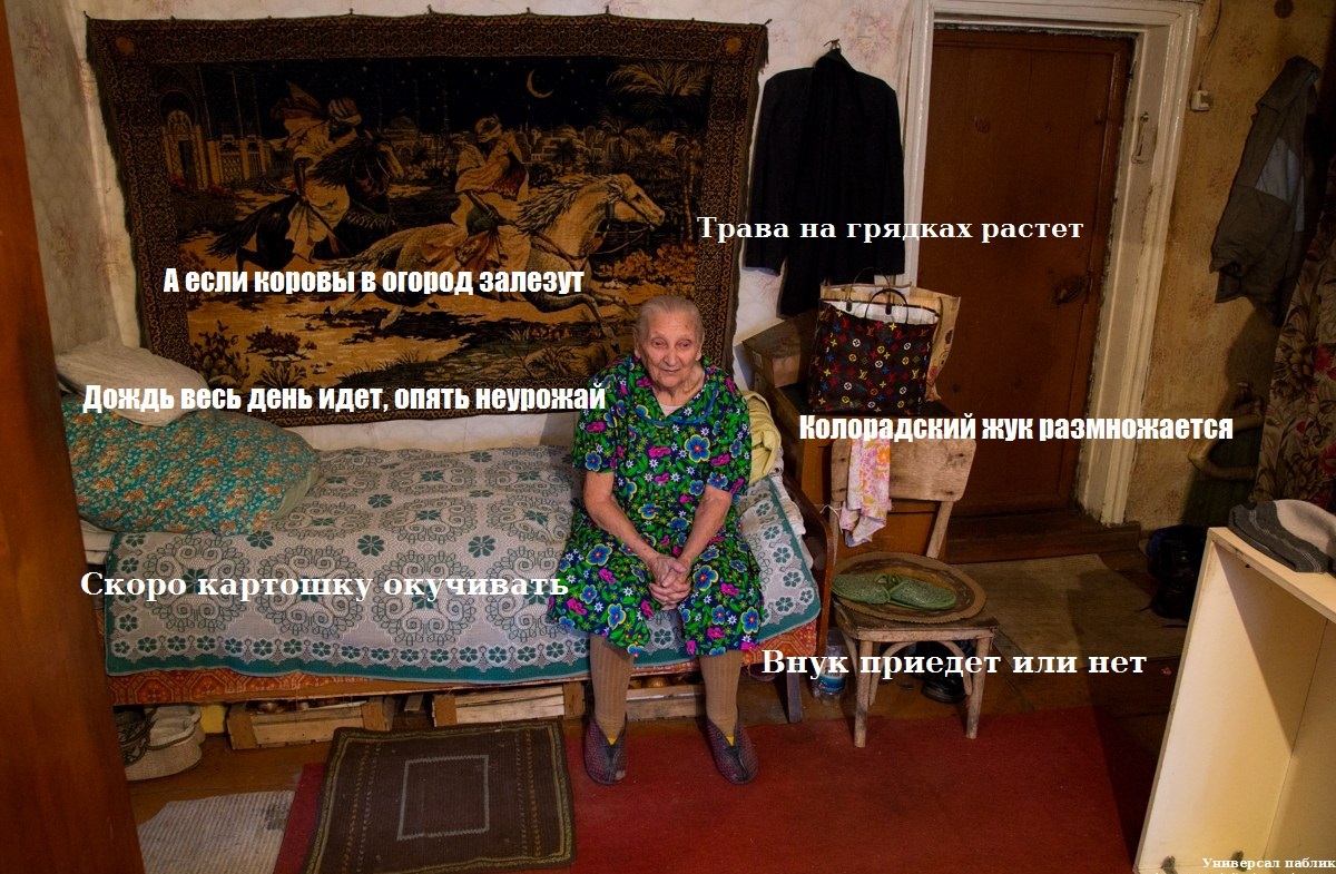 Summer problems of grandmothers in the village - Humor, Grandmother, In contact with