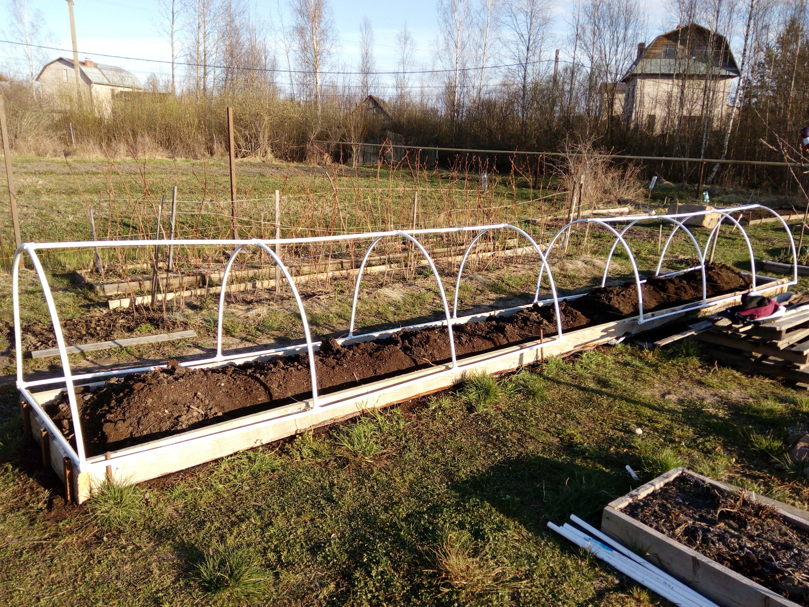 DIY greenhouse - My, Rukozhop, , Longpost, Especially for Peekaboo