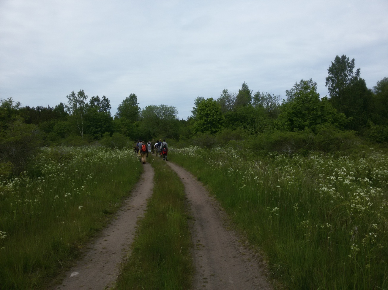 The first shift of the expedition Gogland 2017 - My, Expedition, The Gulf of Finland, , Big Tyuters, Geography of Russia, , Longpost, Russian Geographical Society, Geography