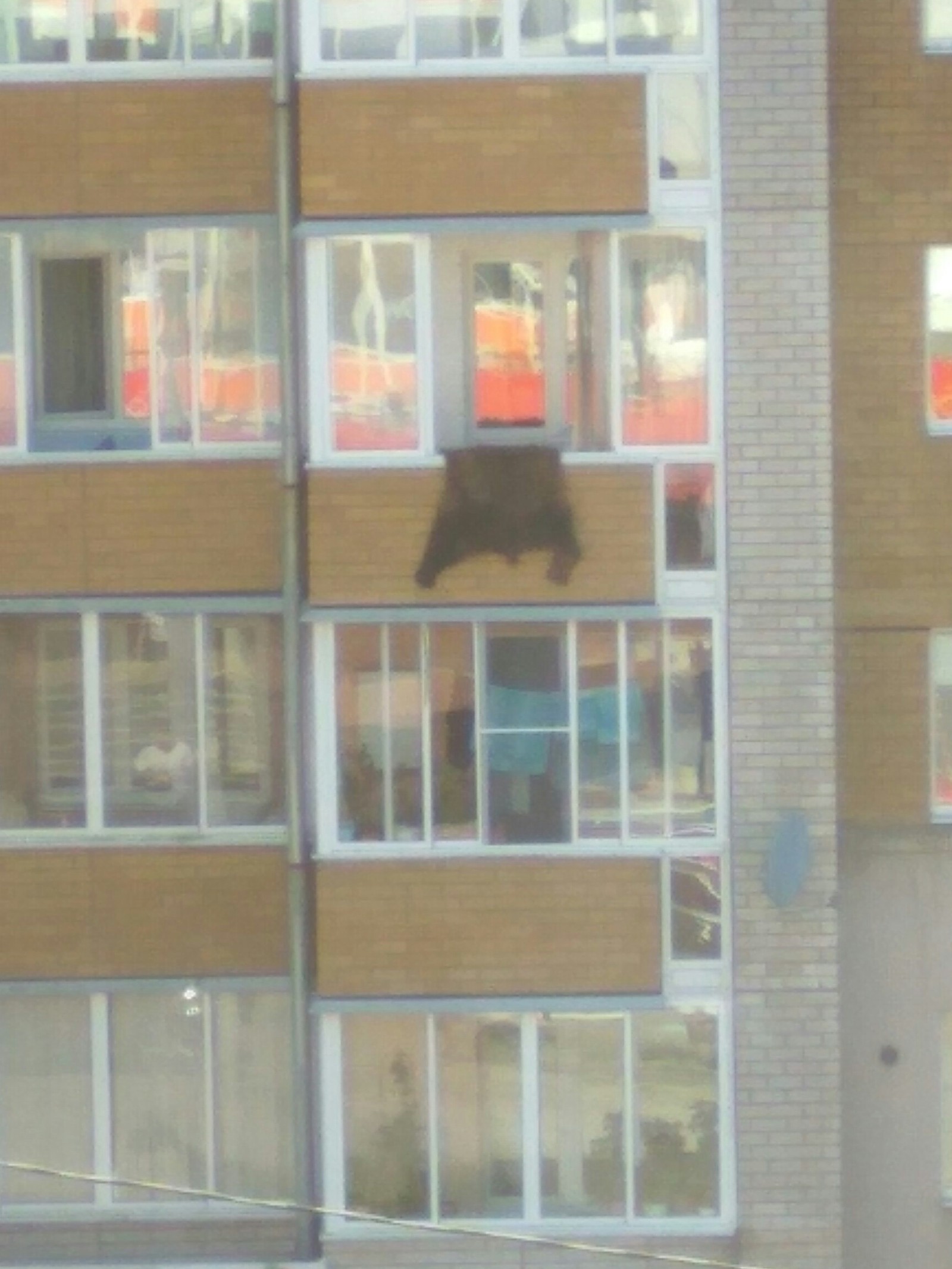 I wanted to, bastard, climb into the window ... - Window, Skin, The Bears, Balcony, Drying, Longpost