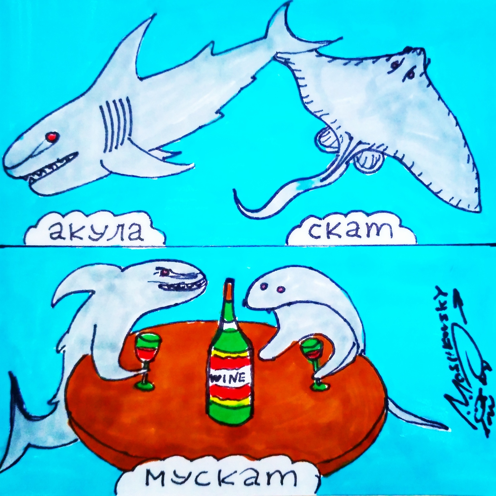 Favorite variety - My, Shark, Stingray, Muscat, Wine, Alcohol, Alcoholics, Moshkovsky