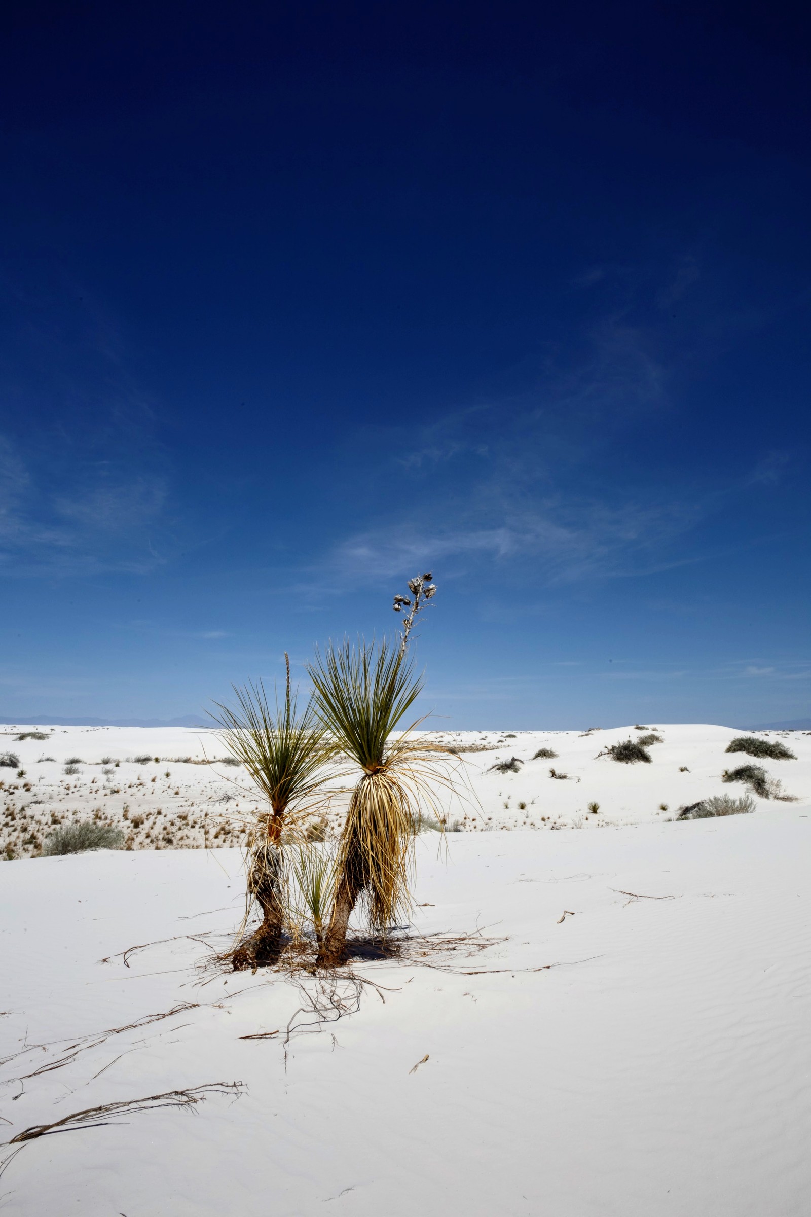 Travel list USA: White Sands National Monument, NM - Моё, New Mexico, Национальный парк, Путешествия, White sands, Длиннопост