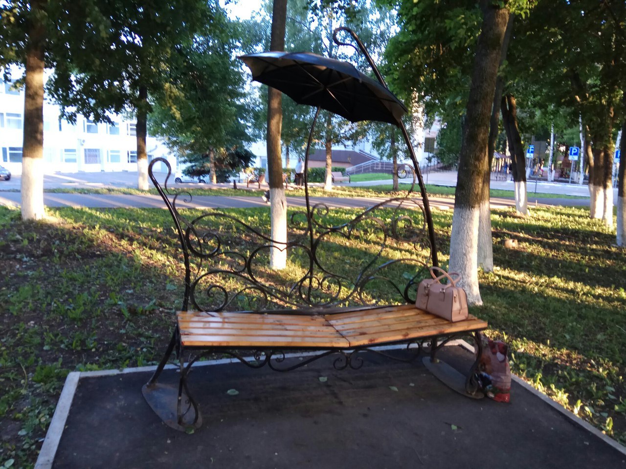 On the question of the Alley of Veterans in Sergiev Posad - Sergiev Posad, Alley of Veterans, Administration, Church, Temple, Longpost, Tree, Birch