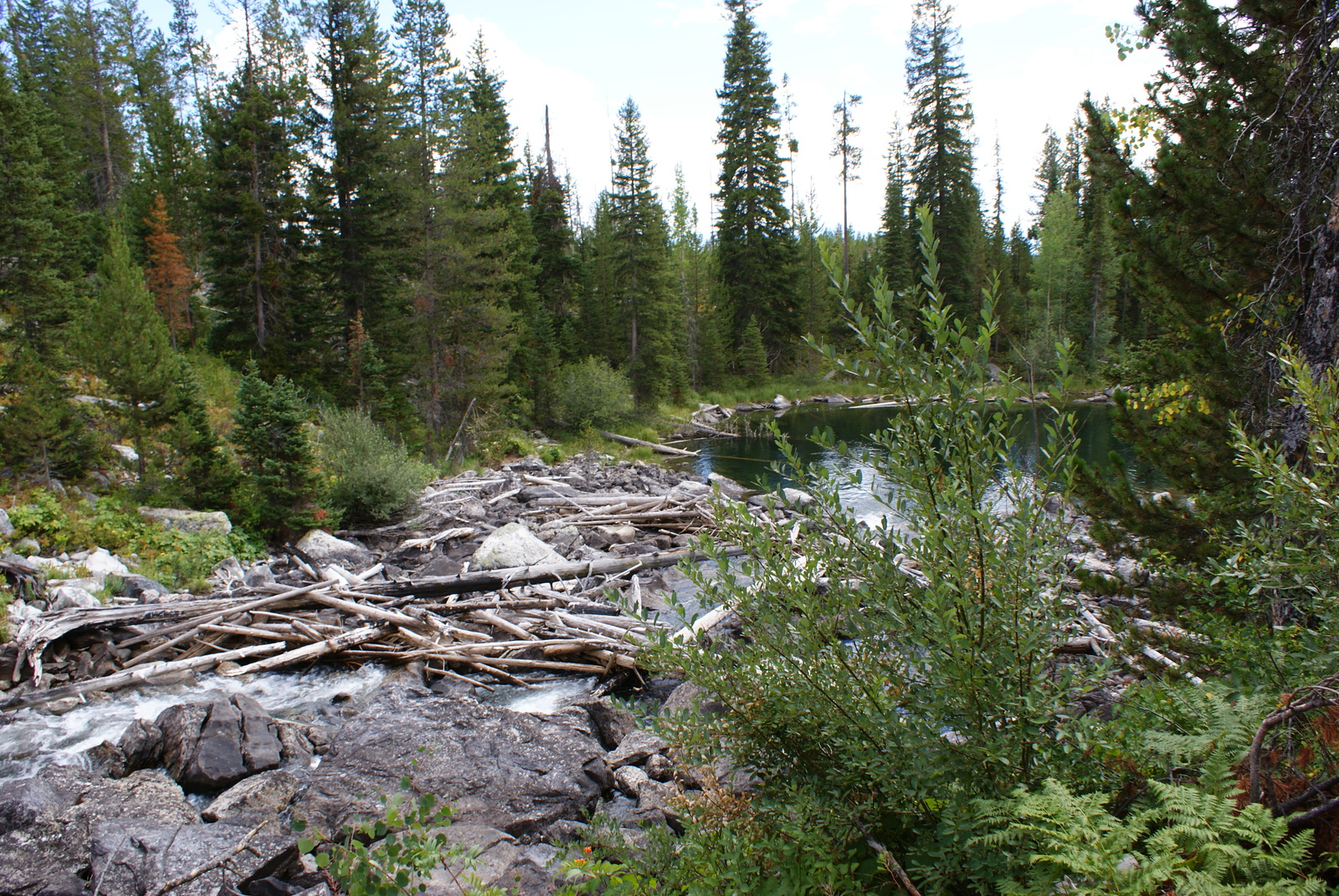 US Travel by Car - Part 2 - Grand Teton National Park - My, USA, Nature, Drive, Travels, The mountains, Longpost