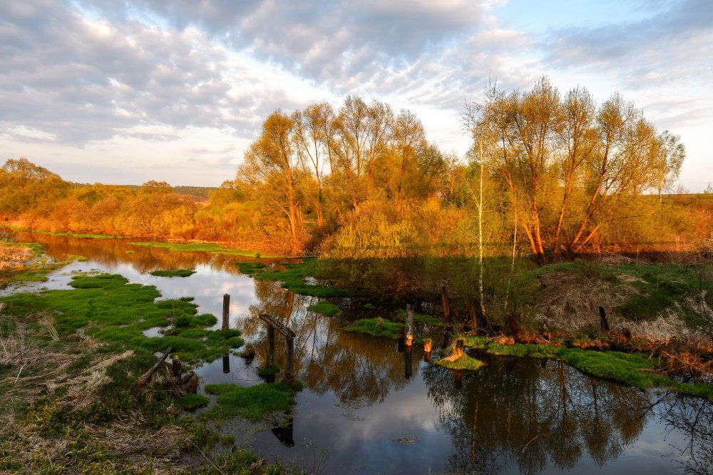 Фото природы - Природа, Фотография, Юлия Лаптева, Длиннопост