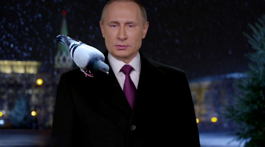 Putin with dove - My, Images, Fotozhaba, Memes