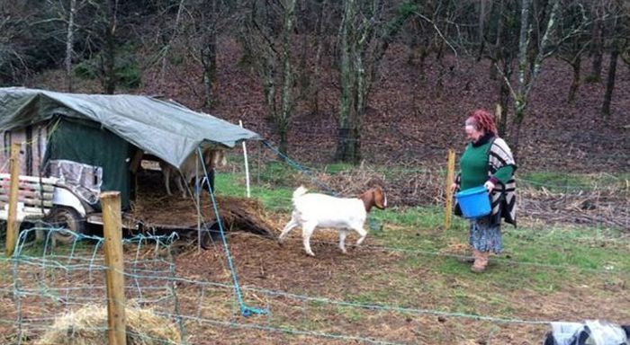 UK couple evicted from eco-friendly home in the woods - Great Britain, England, House, Environmentally friendly materials, Lodging, House in the woods, Not mine, From the network, Longpost