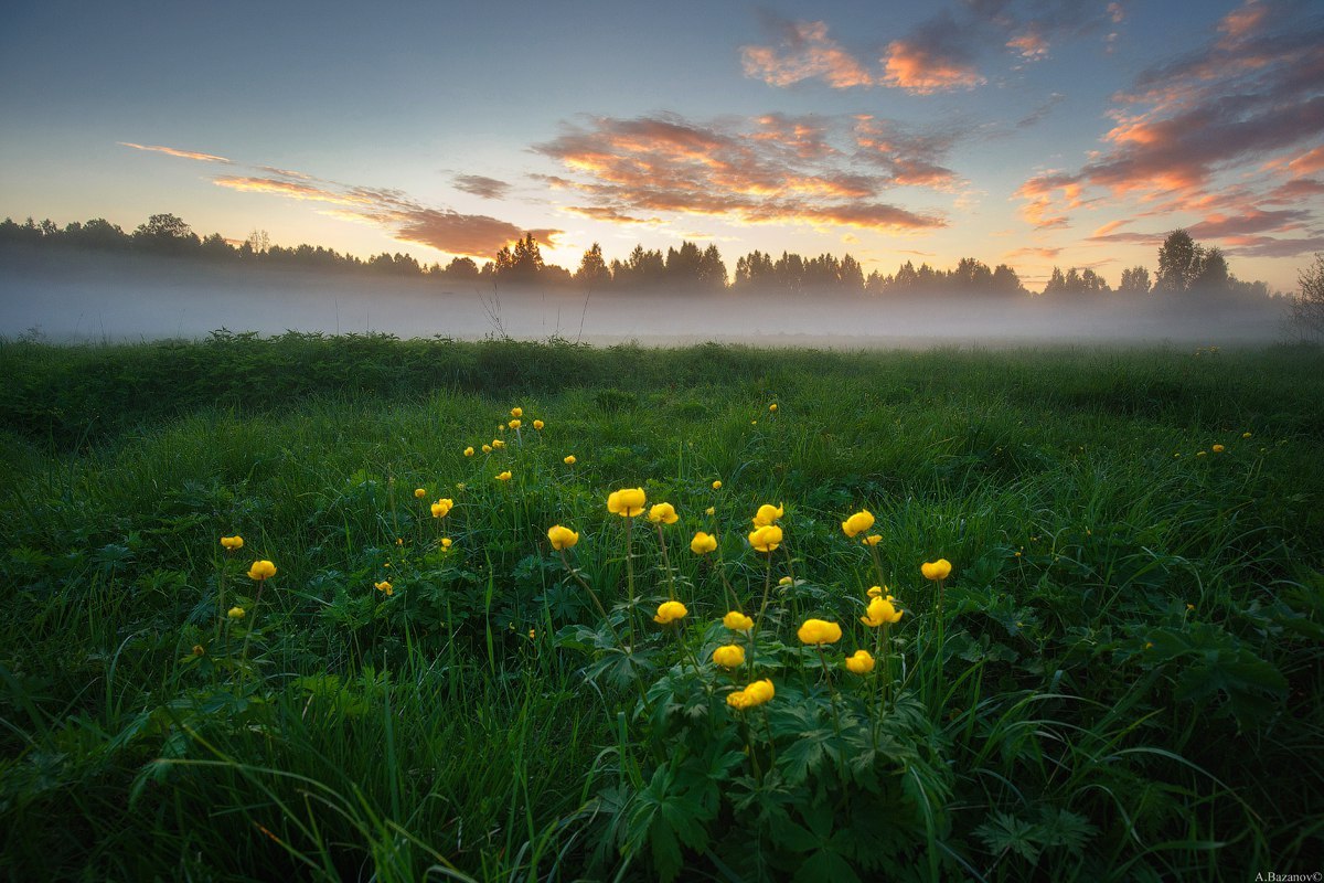 Novgorod region - , Novgorod region, Russia, The photo, Nature, Landscape, Summer