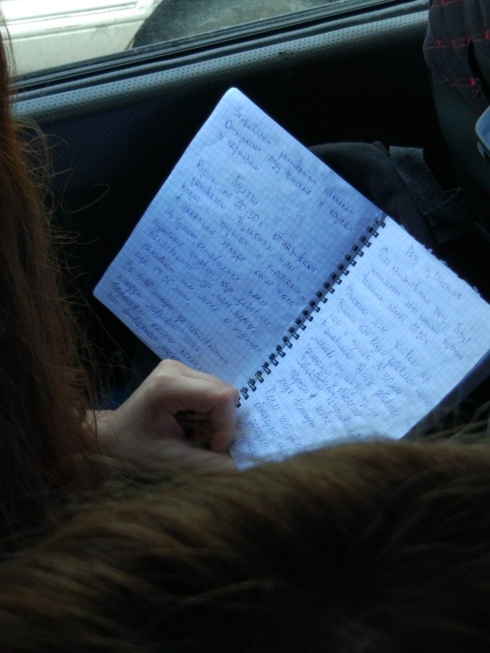 Preparing for the exam for a housewife in a minibus. - My, Female, Kitchen, Higher education, Women