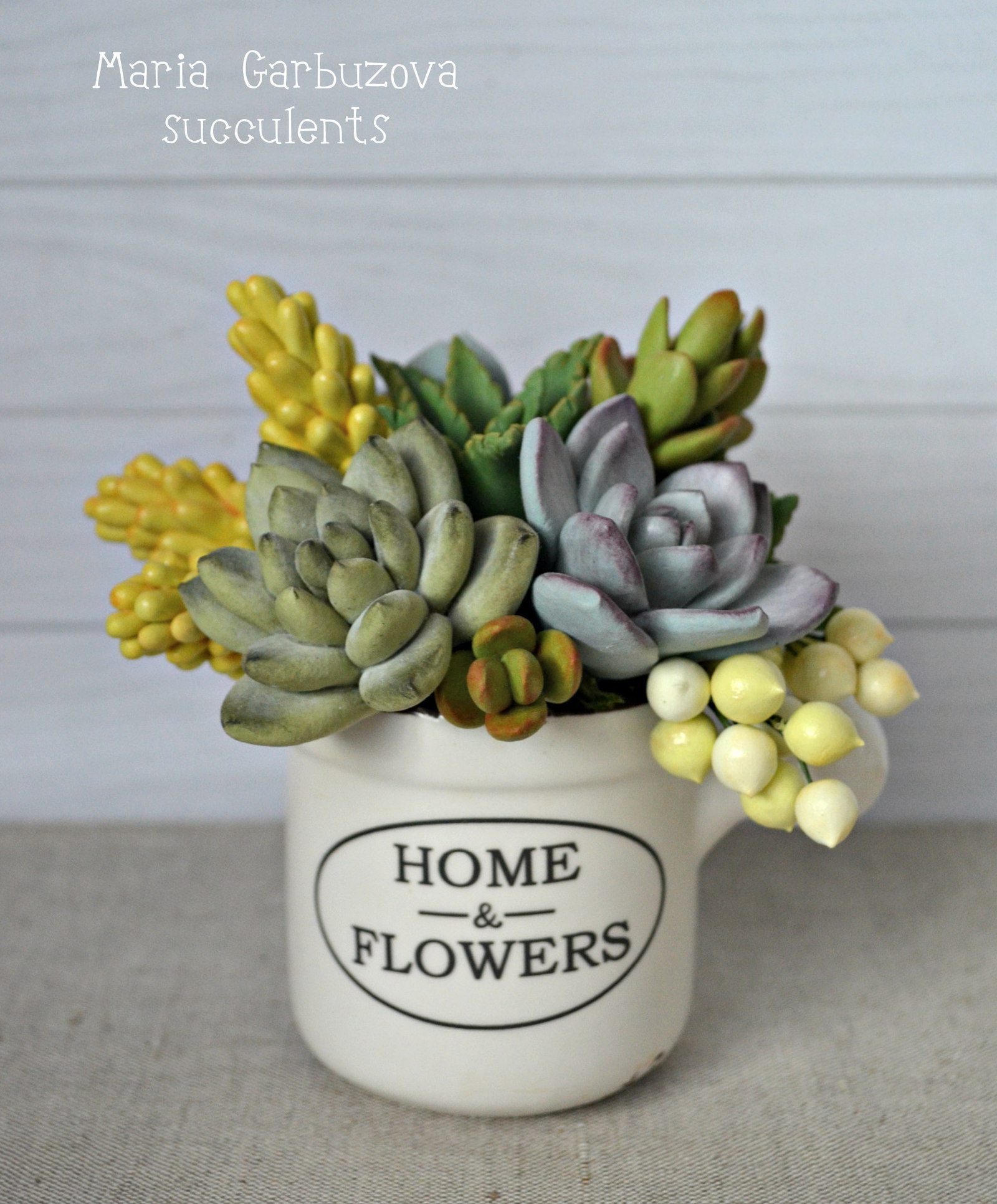 Polymer clay succulents - My, Polymer clay, Flowers, With your own hands, Longpost