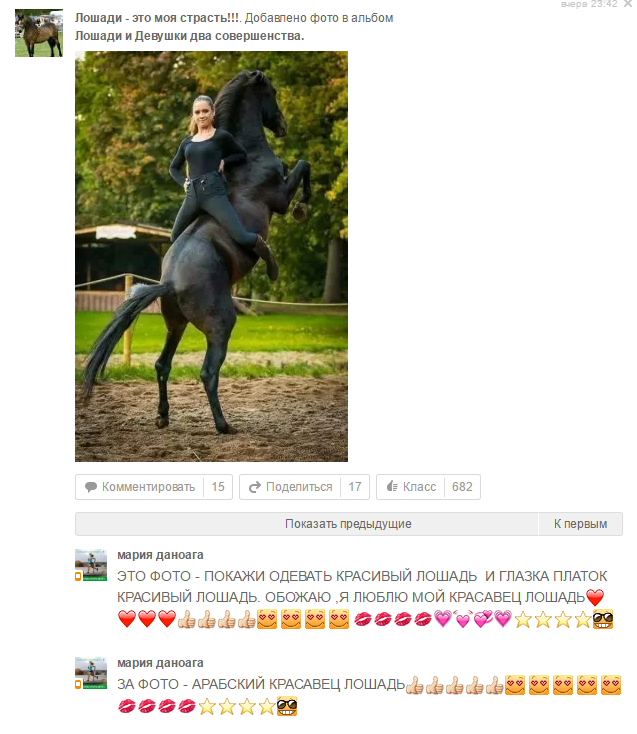 I'm sorry, what? - classmates, Horses, The photo, Comments